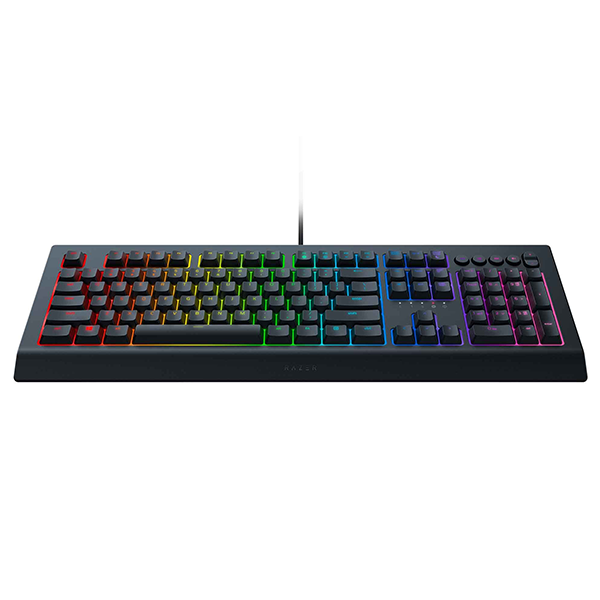 Teclado Gaming Razer Cynosa V2 Español RZ03-03401000-R311